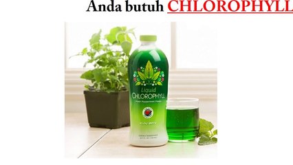 WA 0815 1476 5408, cara mengatasi masuk angin, mengatasi perut kembung karena masuk angin,