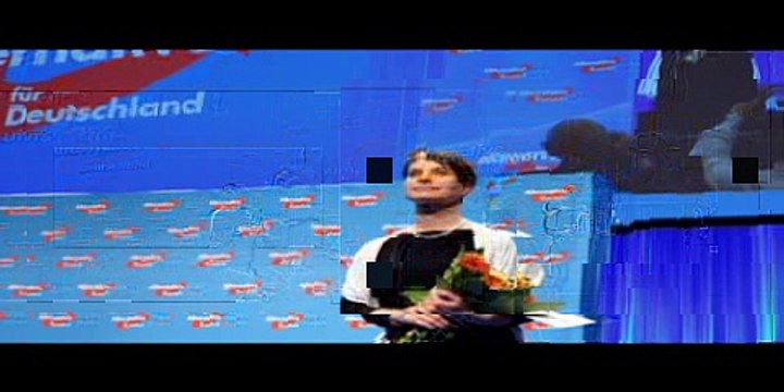 Slash Taxes, Abolish The European Union, And Ban Minarets New Policies Of Germany’s Anti Mass Migra