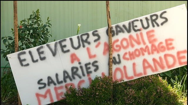 Grippe aviaire : les élevages du Sud-Ouest vont repartir de zéro - Le 03/05/2016 à 07h00