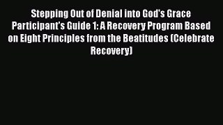 Book Stepping Out of Denial into God's Grace Participant's Guide 1: A Recovery Program Based