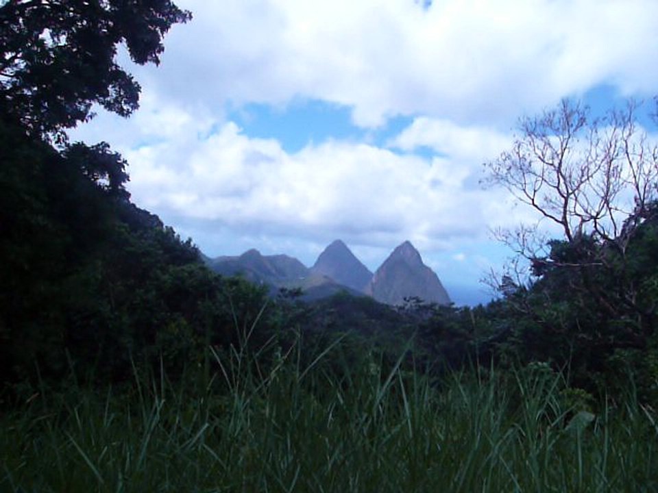 ST. LUCIA 047 P1080660