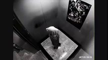 Woman Fights Off Two Men in Elevator