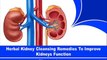 Herbal Kidney Cleansing Remedies To Improve Kidneys Function