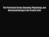 Download The Prefrontal Cortex: Anatomy Physiology and Neuropsychology of the Frontal Lobe