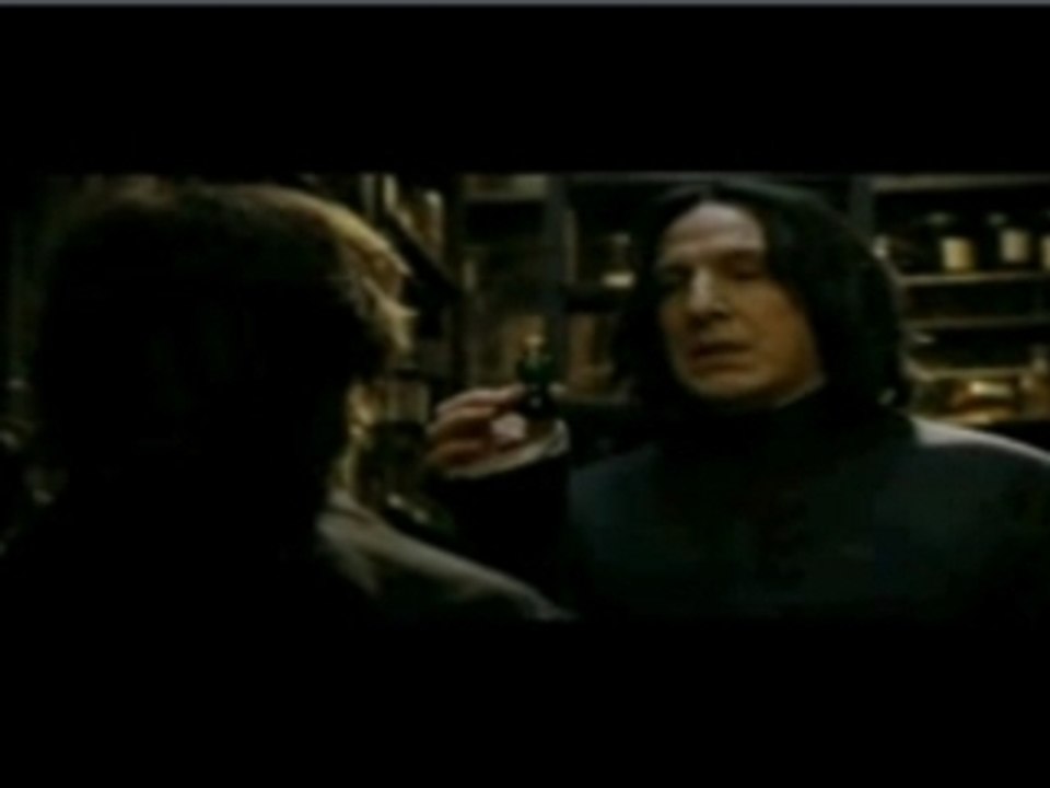 La délirante vie d'harry potter