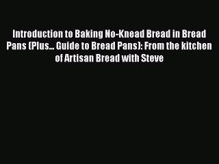 [Read Book] Introduction to Baking No-Knead Bread in Bread Pans (Plus... Guide to Bread Pans):