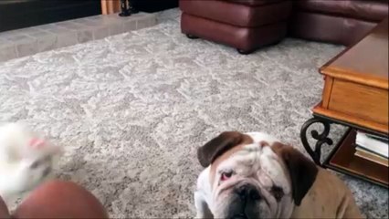 Quand t'en as marre de ton gamin trop excité!