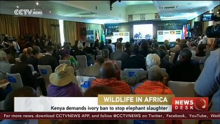 Kenya burns huge stockpile of ivory