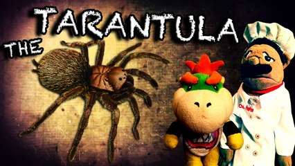 SML Movie: The Tarantula!