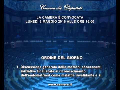 Roma - Camera - 17^ Legislatura - 617^ seduta (02.05.16)