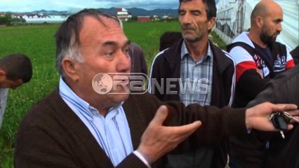 Tornado në Roskovec - Stuhia shkatërron në 3 minuta 5 ha sera të 15 fermerëve