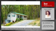 131 Valley View Private Drive, Blountville, TN 37617