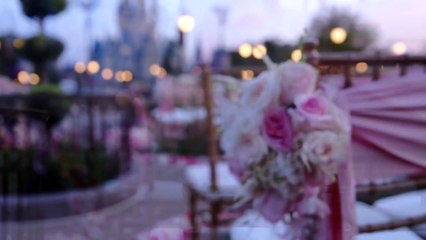 Mariage de princesse à Disney : c'est maintenant possible