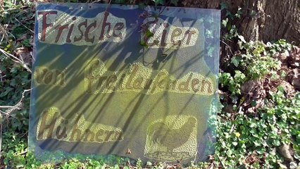 Lost Places - Haus Caen - bei Straelen am Niederrhein