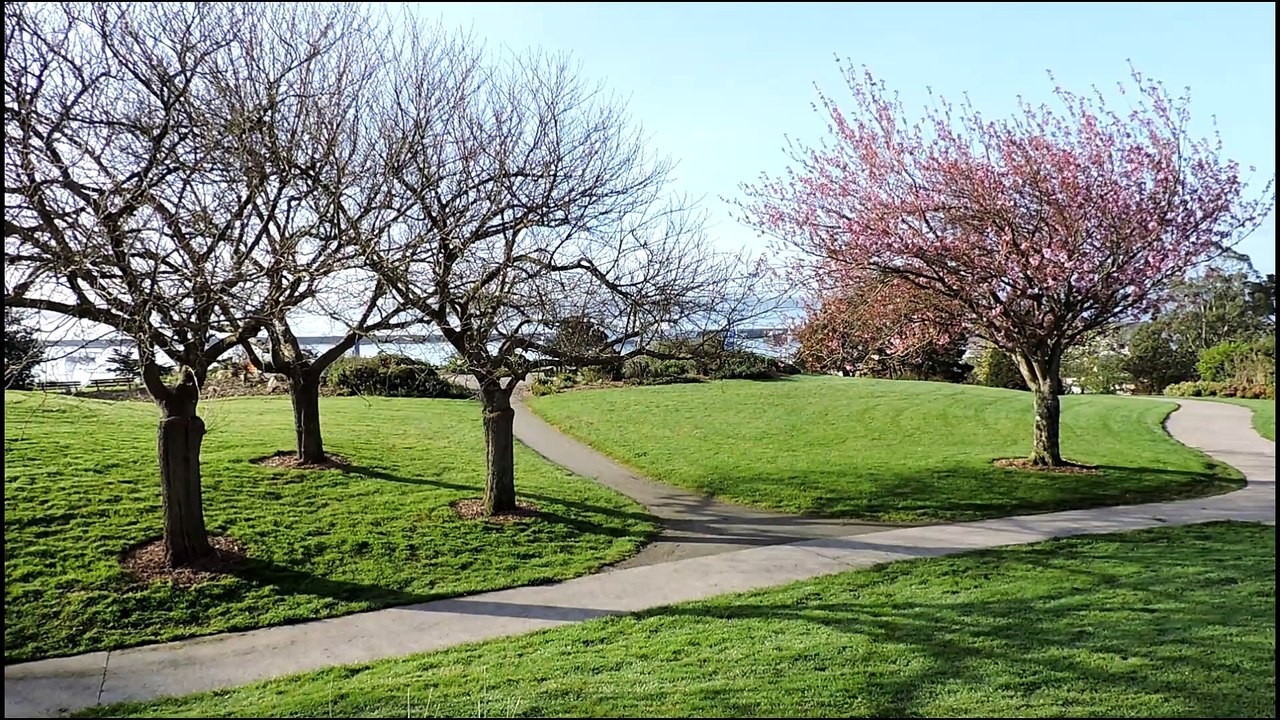 Brest Info - Jardin de Kerbonne