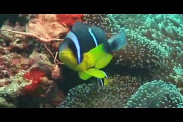 bouteille contenant des questionnement première partie sur 2