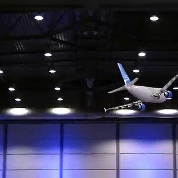 Airbus A310 Short Flight