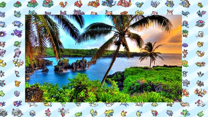 Pokémon Sun & Moon All New Pokémon Leaked?!