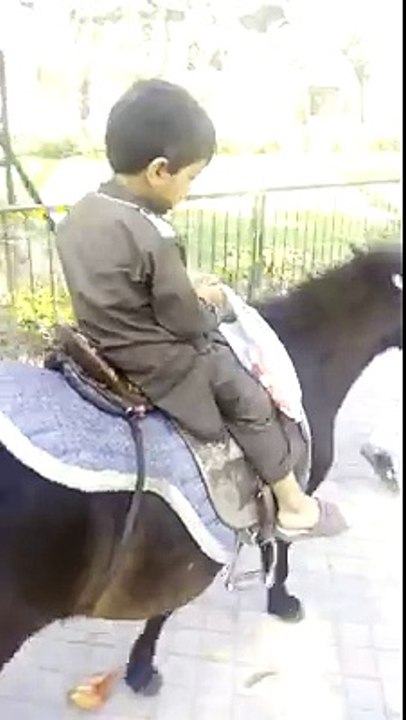 Funny Video - Child Vidoes - Tubeinto.com