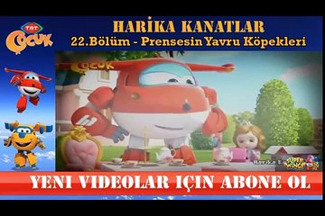 HARİKA KANATLAR 22 BÖLÜM PRENSESİN YAVRU KÖPEKLERİ