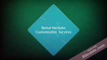 NetSuite Implementation Services