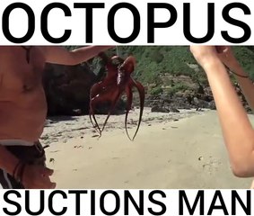 SCARY: Octopus Tries to Eat a Man