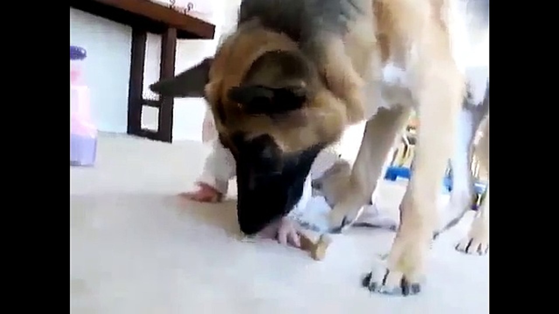 ⁣А мы Дружим! Животные и Детки