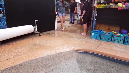 puppies swim first time 2016 must watch and share