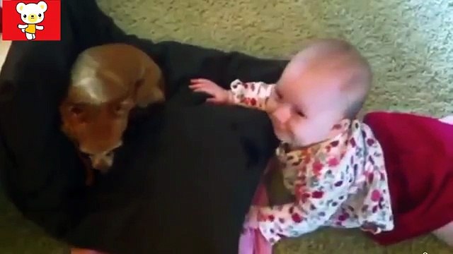 Дети и животные Приколы с животными осень 2014 Cats, Dogs & Cute Babies Compilation