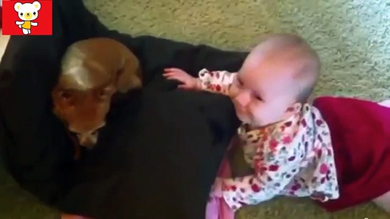 Дети и животные  Приколы с животными осень 2014  Cats, Dogs & Cute Babies Compilation