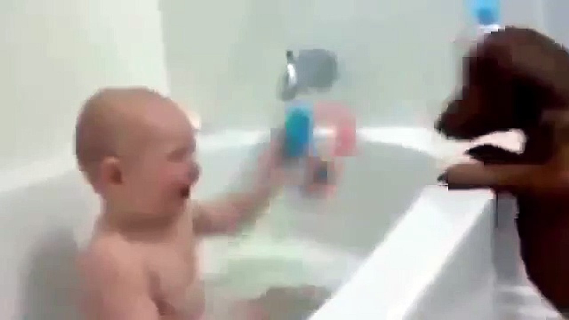 ⁣Дети и Животные смешное видео