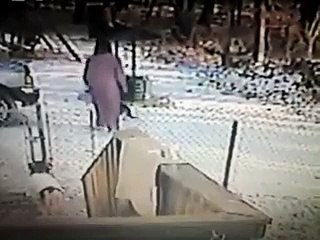 Donna ATTACCATA violentemente da un gatto… quando capirai il motivo ESULTERAI