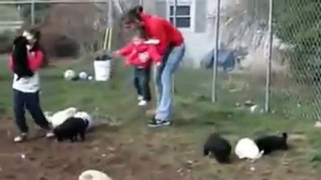 МАЛЕНЬКИЕ ДЕТИ И МАЛЕНЬКИЕ ЩЕНКИ