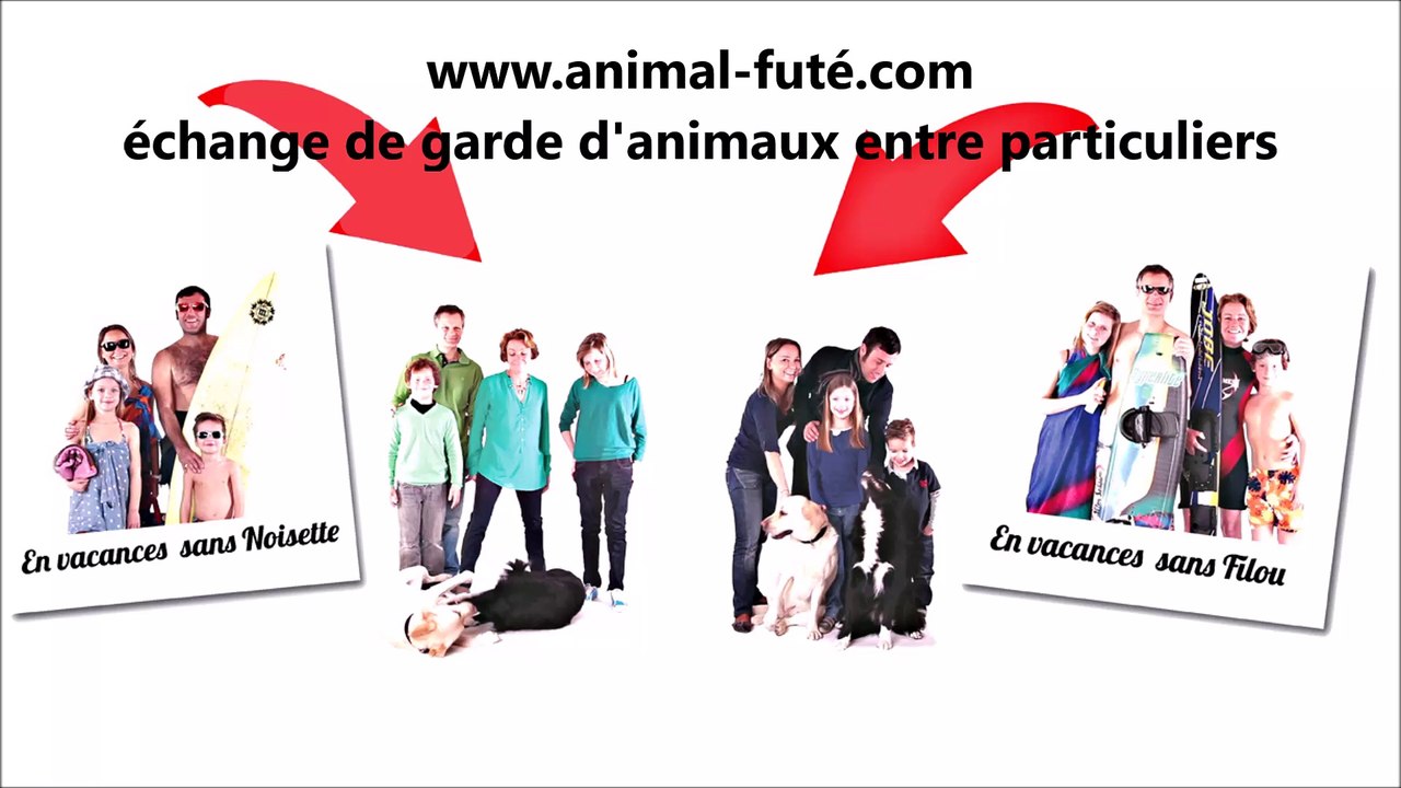 Garde de chien entre particuliers à Nantes, Caroline témoigne de ses échanges Animal Futé