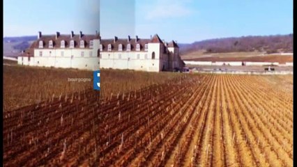 Bande-annonce : Pourquoi chercher plus loin - Pierre de Bourgogne