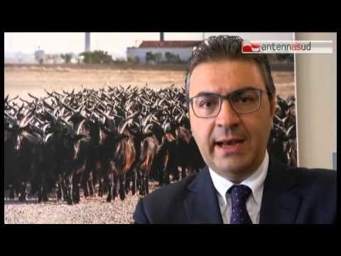 Tg Antenna Sud - A Foggia si ridisegna l'agricoltura pugliese del futuro