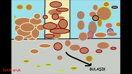 Zeki Bir Adamın Hikayesi - Paint Terk