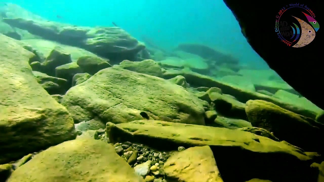 Malawi Gölü Belgeseli 2014 - Lake Malawi 2014