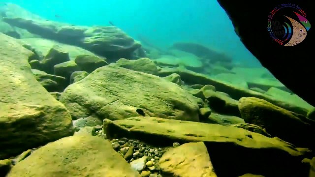 Malawi Gölü Belgeseli 2014 - Lake Malawi 2014