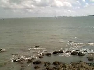 LA MER QU ON VOIT DANCER.......