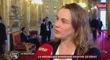Loi travail au sénat : les réactions de didier guillaume et nicole bricq