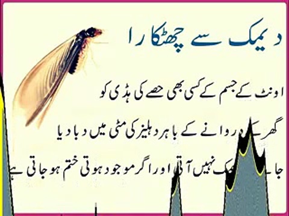 deemak se chutkara desi totka