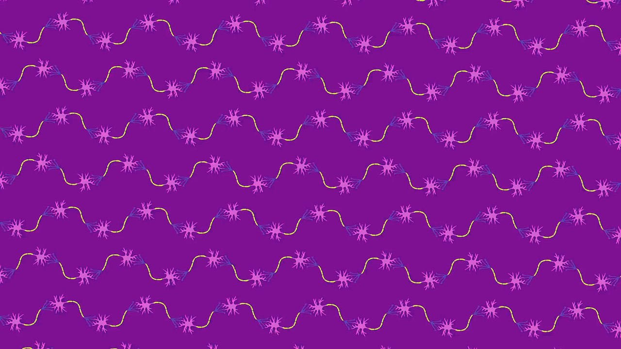 The Science Of Hallucinations