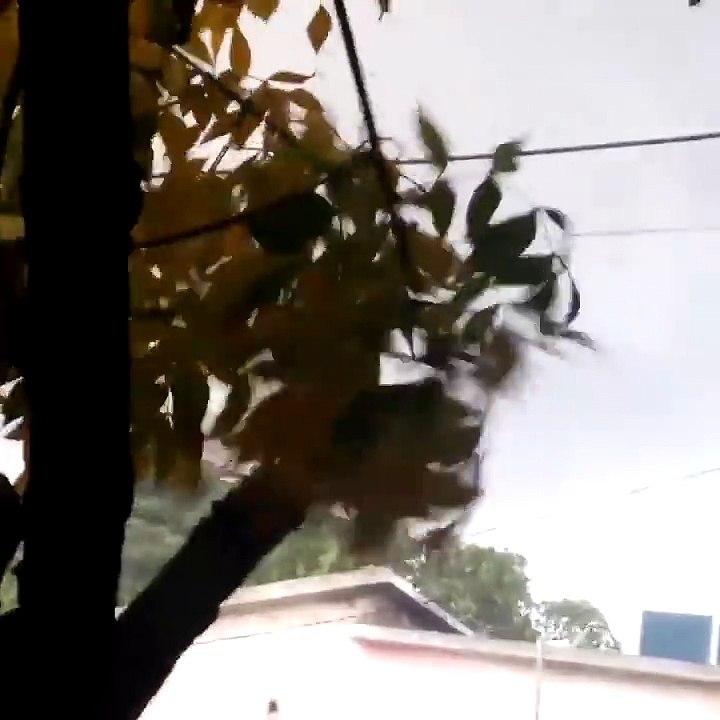 Tornado Destroys Neighborhood in Uruguay