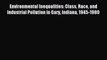 Read Environmental Inequalities: Class Race and Industrial Pollution in Gary Indiana 1945-1980