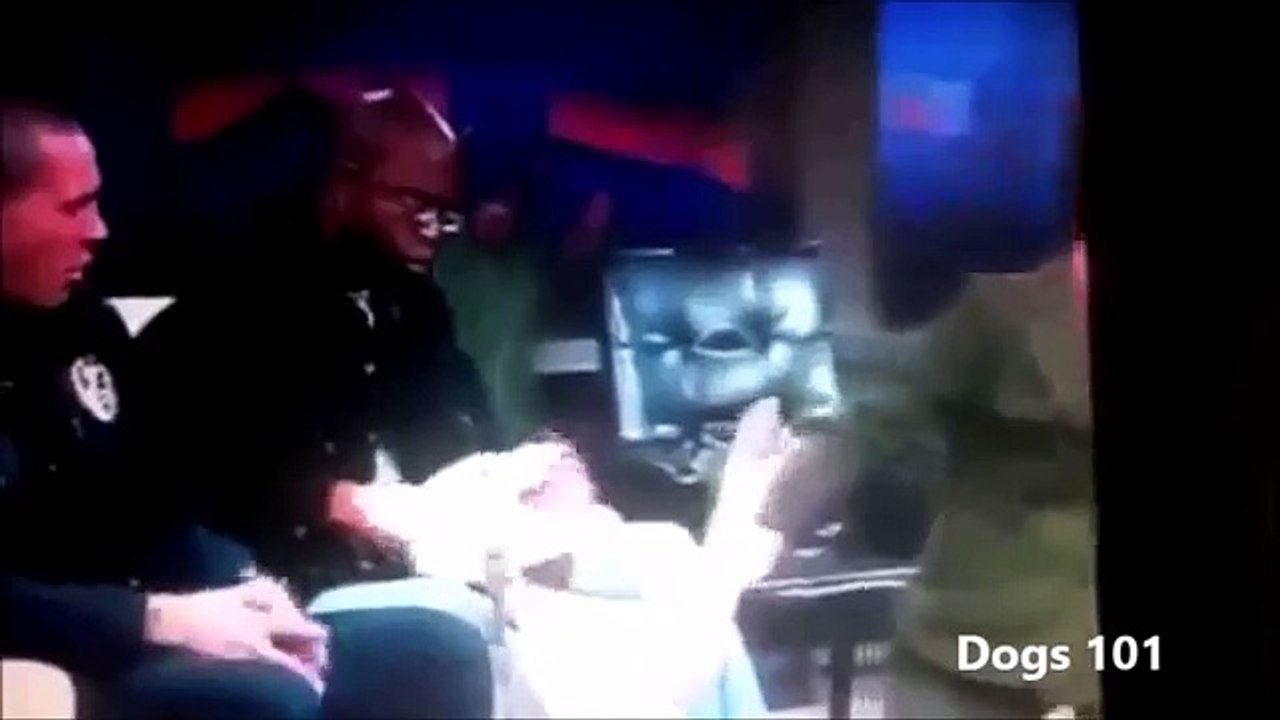 Dogs bites ... Deading