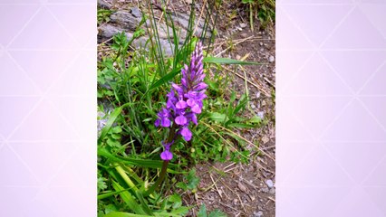 Mountain Walking Holidays - Exploring The Alpujarras