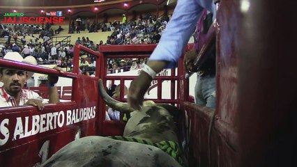 GALLITO DE MORELIA VS MASACRE EN TEXAS EN AUTLAN JALISCO