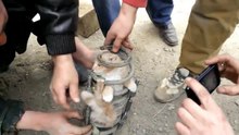 Cat in the damper drove 70 km