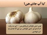 Health Benefits of Garlic Benefits Of Garlic - YouTube
